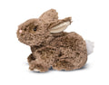 Douglas Toys Taylor MOCHA BUNNY