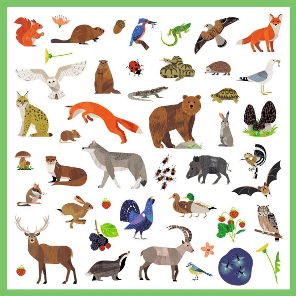 Djeco Sticker: Tierwelt