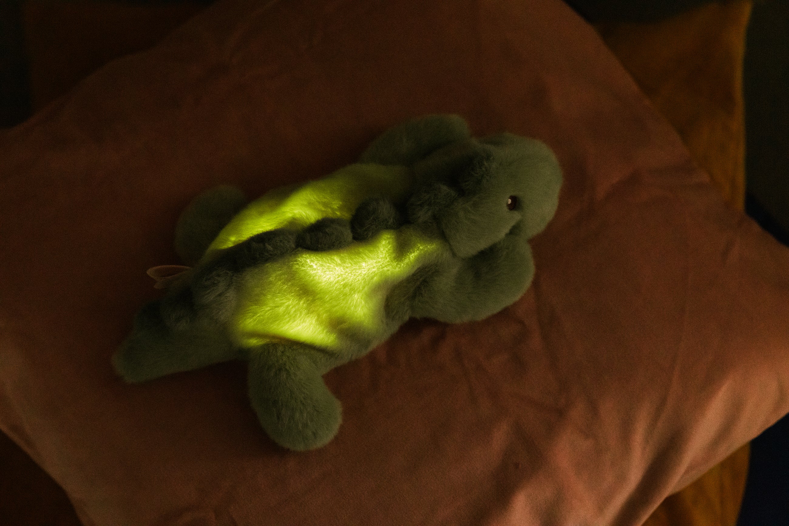 AP Junior Jéroom Dino plush night light GREEN & SAGE