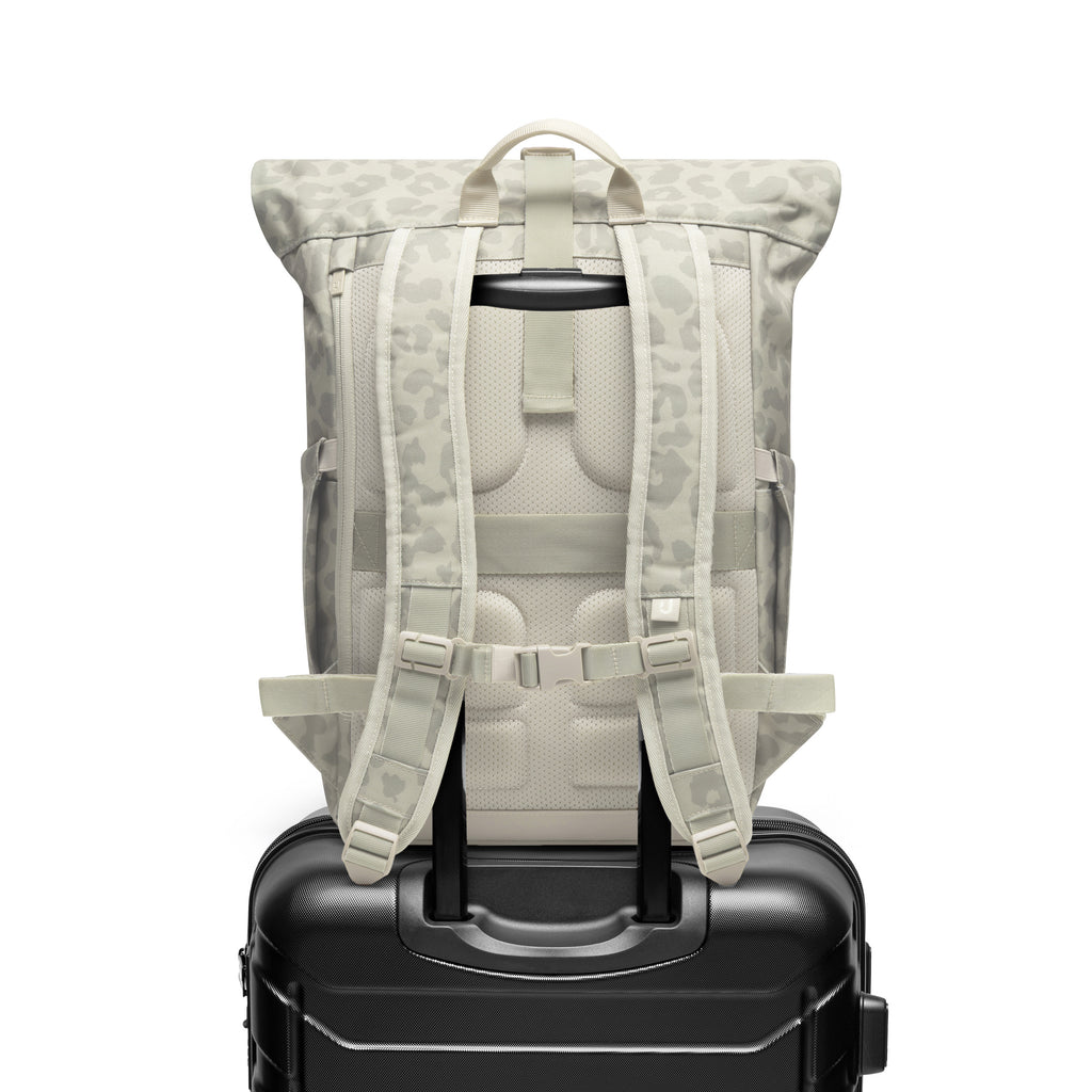 Johnny Urban Allen Medium Backpack Sand Leo