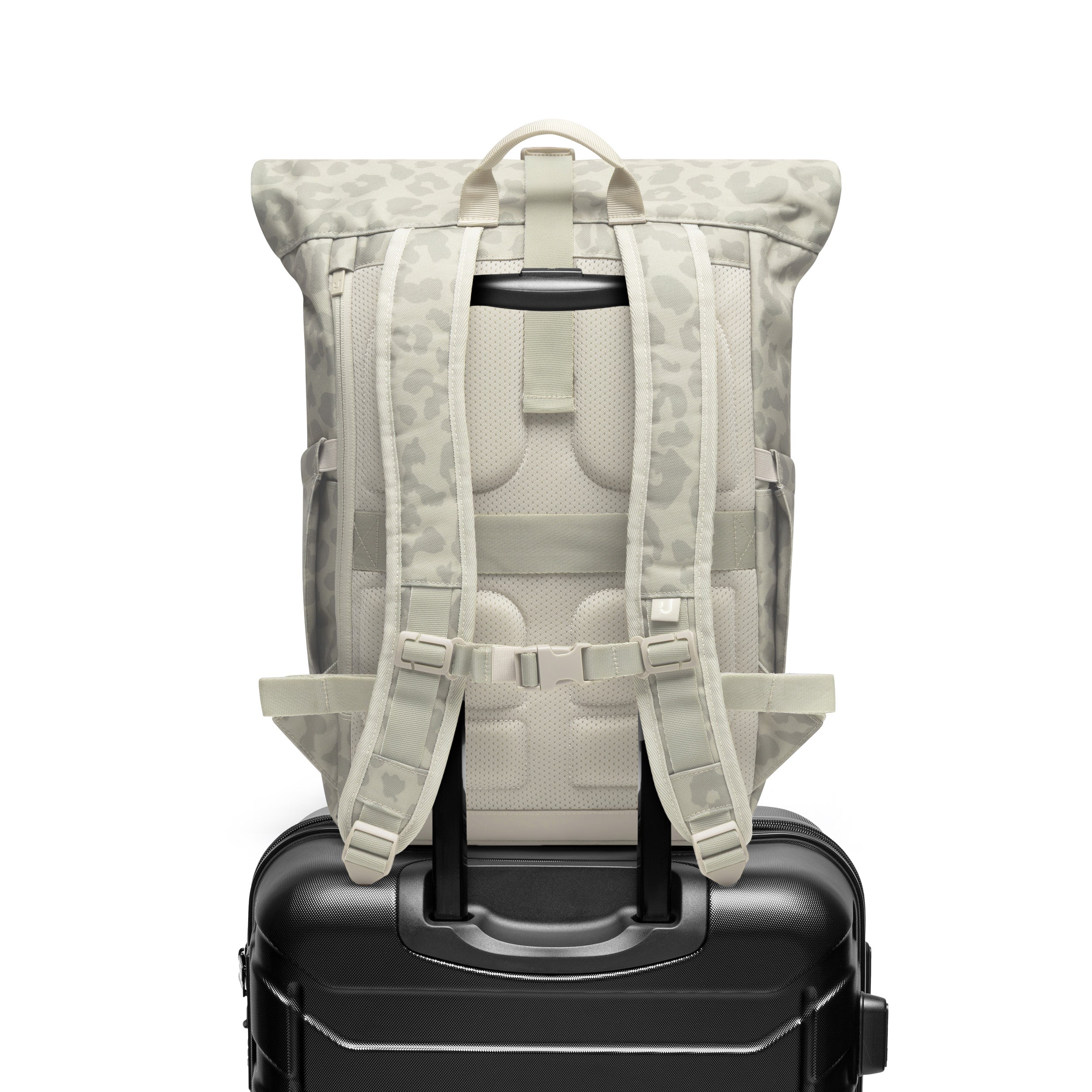 Johnny Urban Allen Medium Backpack Sand Leo