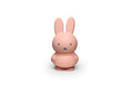 AP Junior miffy POWDER money box Small