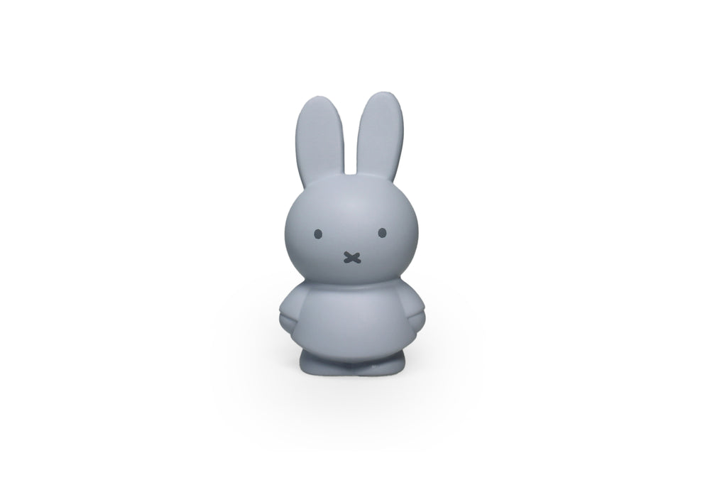 AP Junior nijntje SILVER BLUE Spaarpot Small | H13,5 Ø7,2 CM