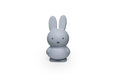 AP Junior nijntje SILVER BLUE Spaarpot Small | H13,5 Ø7,2 CM