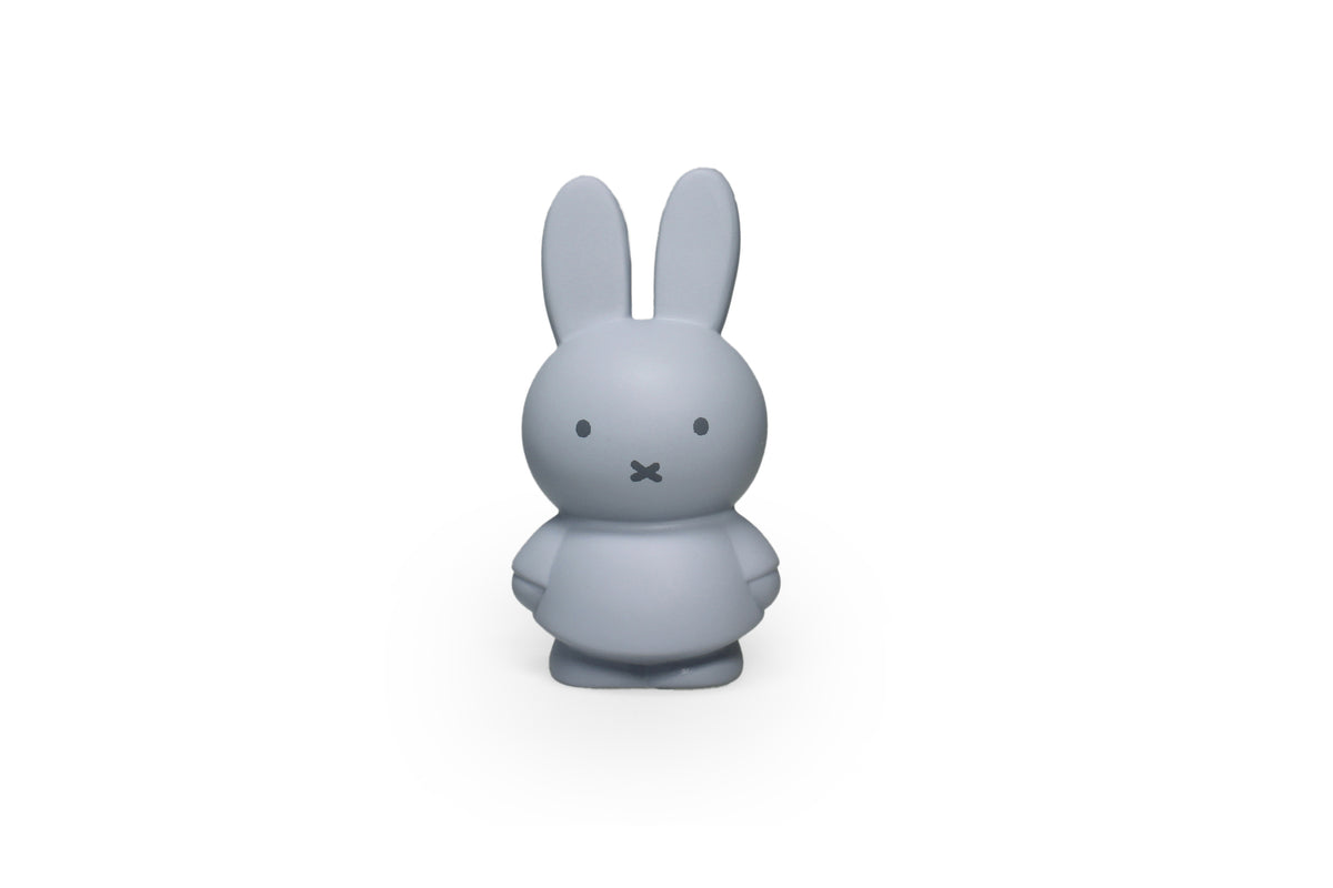 AP Junior nijntje SILVER BLUE Spaarpot Small | H13,5 Ø7,2 CM
