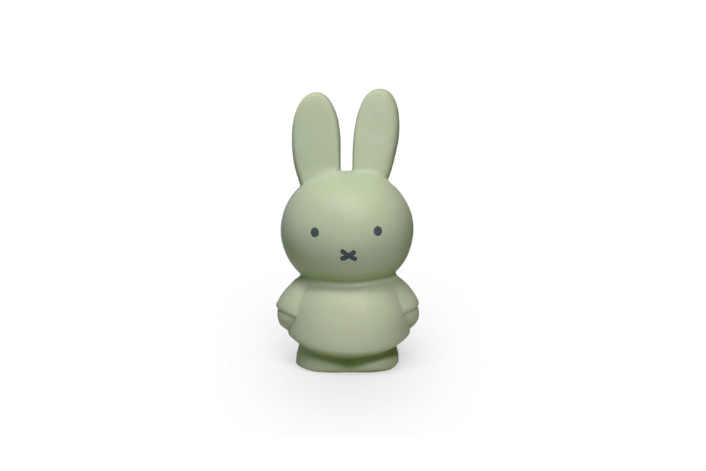 AP Junior miffy EUCALYPTUS money box Small