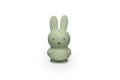 AP Junior miffy EUCALYPTUS money box Small