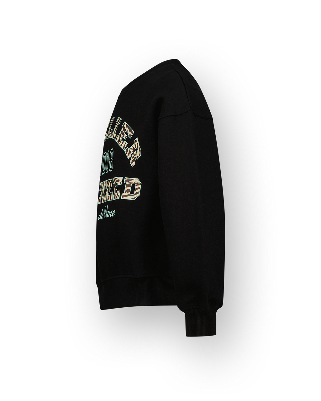 Raizzed Sammie Sweatshirt Print