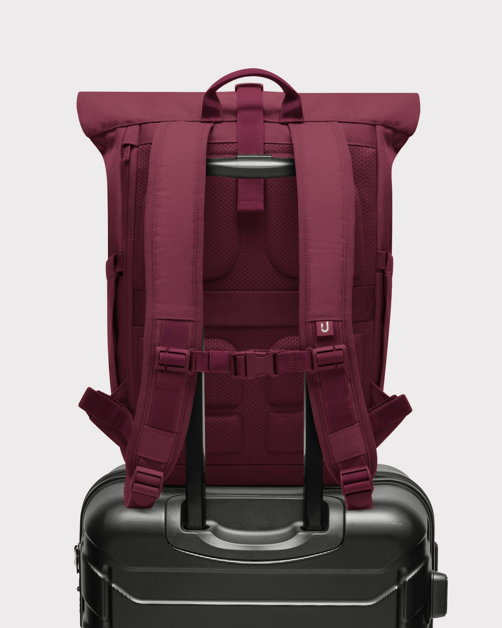 Johnny Urban Allen Large Backpack Burgundy