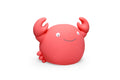 AP junior Theo crab CORAL money box LARGE