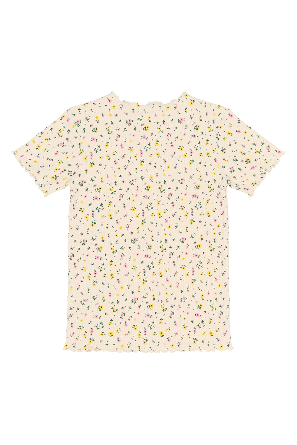 The New TNSummer S_S Rib Tee