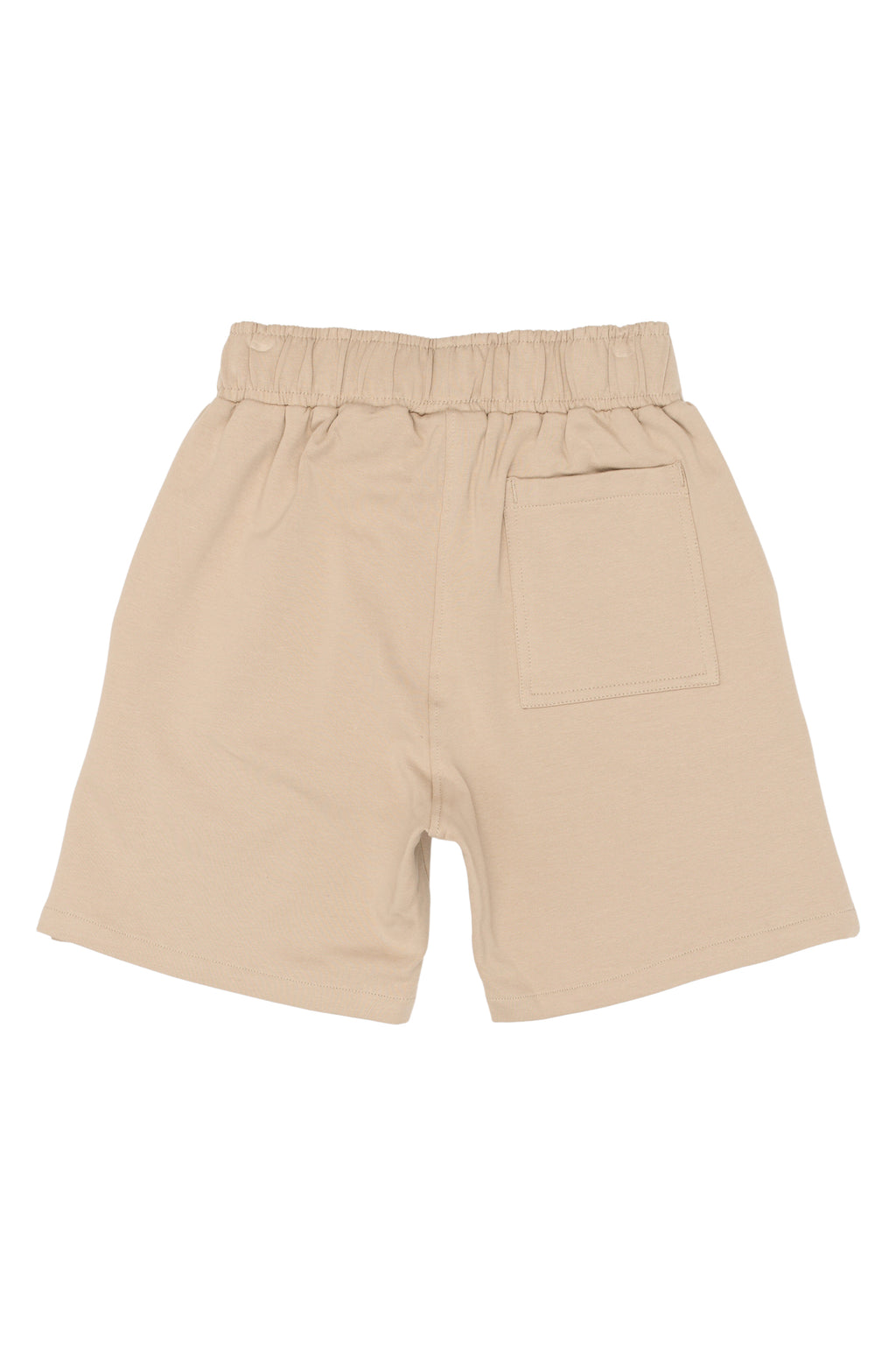 The New TNTitus Sweat Shorts