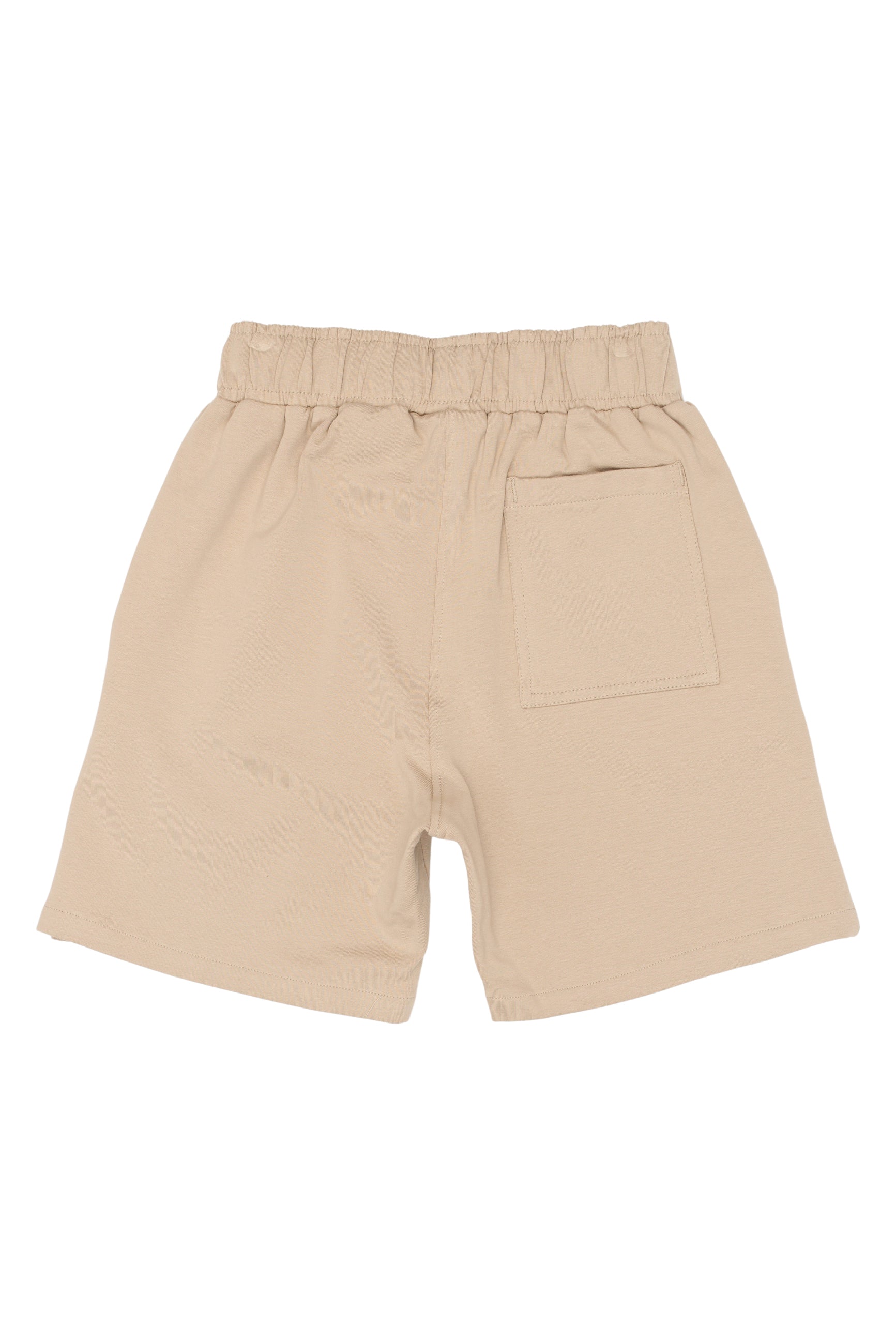 The New TNTitus Sweat Shorts
