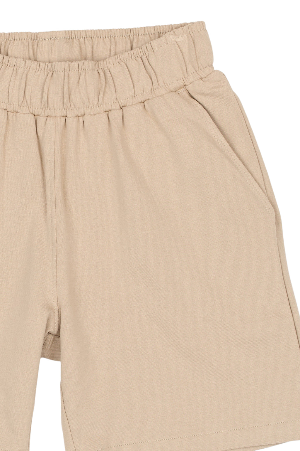 The New TNTitus Sweat Shorts
