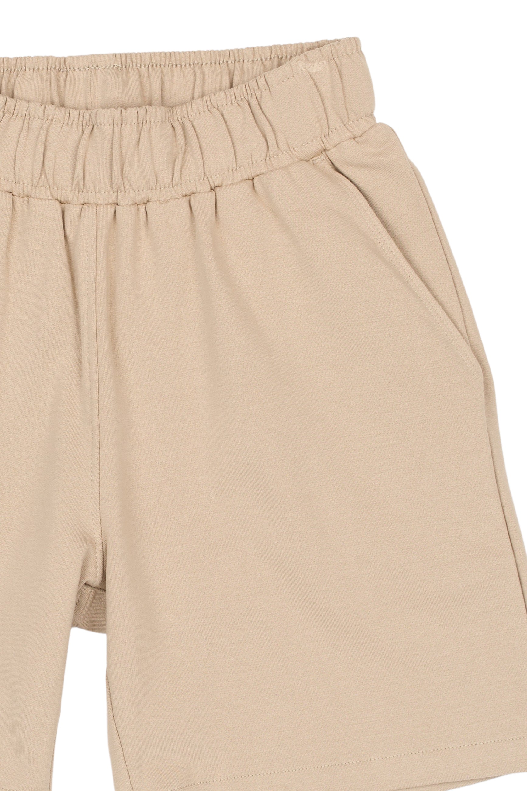 The New TNTitus Sweat Shorts