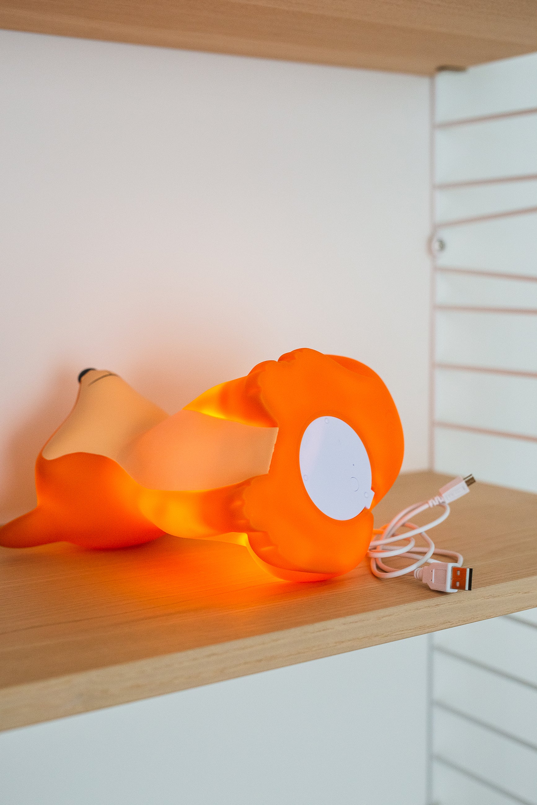 AP Junior CESAR FOX night light LED ORANGE USB recharge