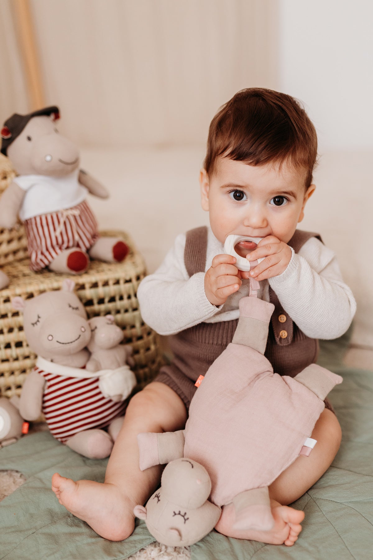 Kikadu Activity Toy Hippo